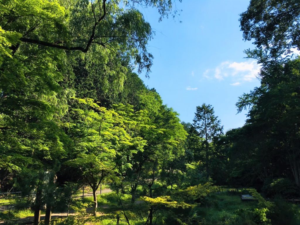 リヴァトレ仙台本町森林プログラム